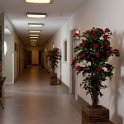 Mekelenkamp kunstplantenwinkel.nl project buitensluit (14 van 25)